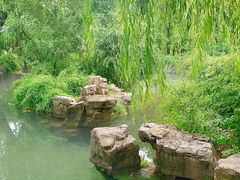 -张家油条