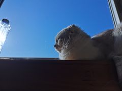 -爱侣宠医·鹦鹉专科·小型哺乳类·异宠专科(灵石路店)