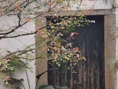 -汇龙潭