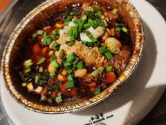 -老号尤兔头(幸福店)