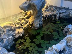 -丫丫蟹庄·苏式园林农家乐·阳澄湖大闸蟹(阳澄湖莲花岛店)