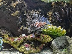 -杭州海底世界