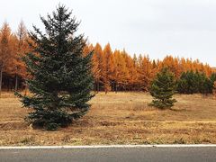 -塞罕坝国家级自然保护区