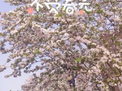 -民园广场