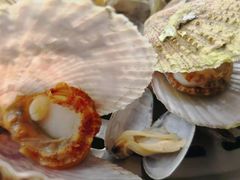 -天宝酒店(万达店)