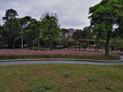 -牛岗山公园