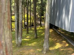 -玉苍山国家森林公园