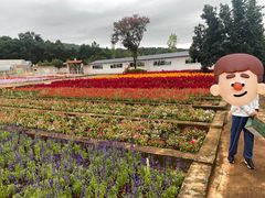 -昆明春城湖畔度假村