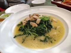 上汤白苋菜-京味斋·北京烤鸭(北京南站洋桥店)