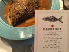 -阿五黄河大鲤鱼(英协路店)