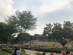 -天河儿童公园