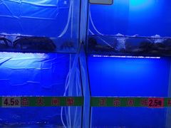 -祥鹤龙虾螃蟹
