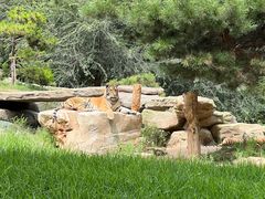 -北京野生动物园