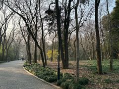 -杭州植物园