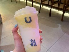 -春丽小马(济南恒隆广场店)