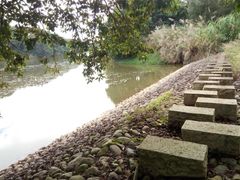 -福建鲤鱼洲酒店