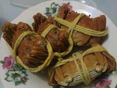 -阳澄湖大闸蟹·琼灵阁牌品牌连锁(吴中总店)