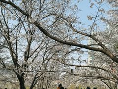 -西北湖绿化广场