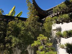 -汉庭顿图书馆