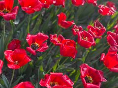 -朝阳公园游乐园