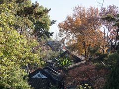 -枫桥景区
