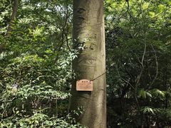 -黄公望隐居地