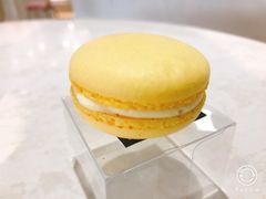 -西檬树SIMON·T轻奢蛋糕(大东方Max店)