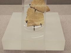 -北京大学赛克勒考古与艺术博物馆
