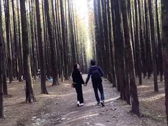 -山王坪喀斯特国家生态公园
