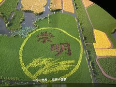 -东平国家森林公园