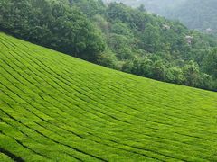 -敬亭山风景名胜区