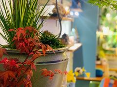 -Rabbit Cafe私房西餐甜点咖啡(栖霞路店)