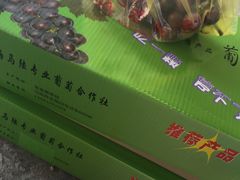 -马陆小张葡萄园农家乐