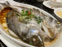 -李师傅脆肚(华强北店)