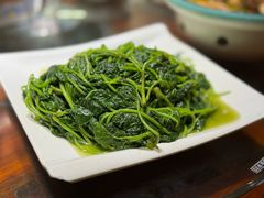 番薯苗-优之名鹅城