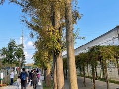 -前小桔亲子创意农场·草莓采摘·露营烧烤