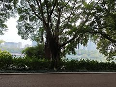 -南宁南湖公园