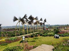 -空港花田景区