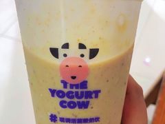 -一只酸奶牛(兰州中心店)