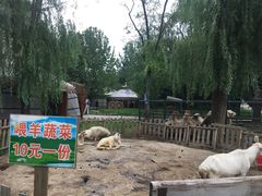 -蒙古大营(朝阳公园店)