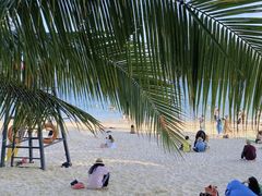 -后海村