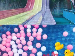 -苏州乐园森林水世界