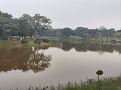-东莞植物园
