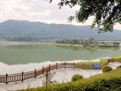 -风云岭森林公园