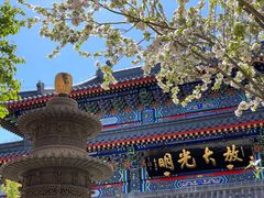 -天津市峰山药王古寺