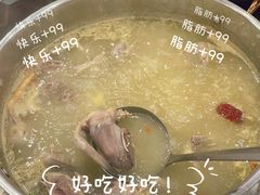 五指毛桃药膳鸽-鸽鸟轩(石岐店)