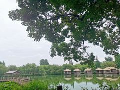 -乌镇景区