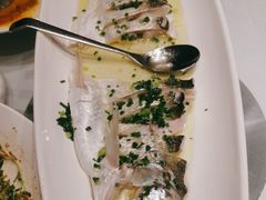 -沪碟·精菜坊(闵行店)