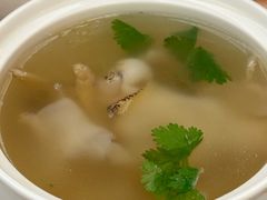 响螺炖橄榄-吴记富苑(朝阳店)