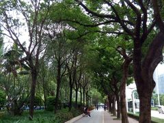 -情侣路
